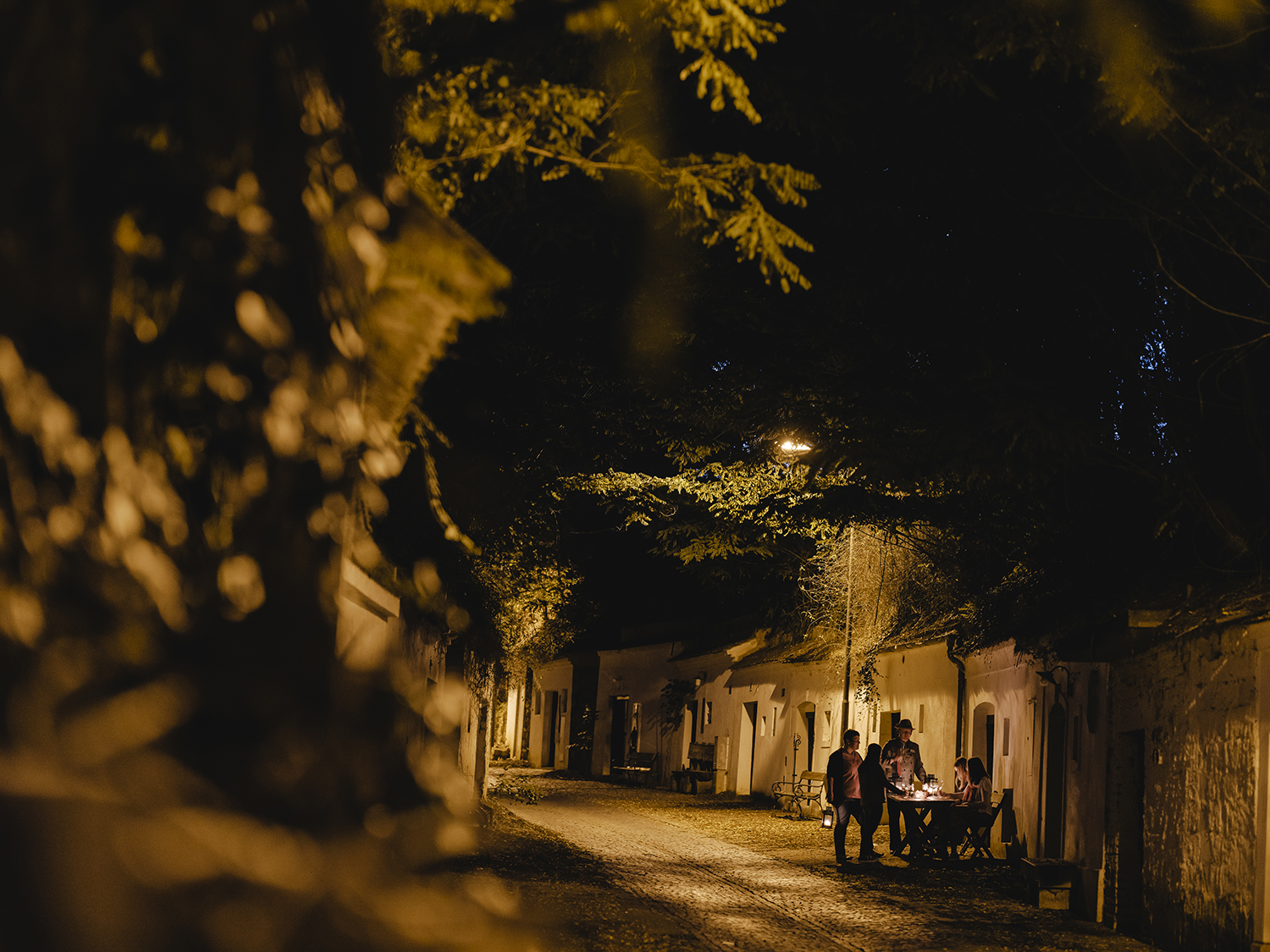 Kellergassenführung bei Nacht Kellergasse Radyweg Poysdorf Weinviertel_Reidinger