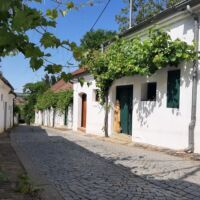 Bürsting_VinoVersum