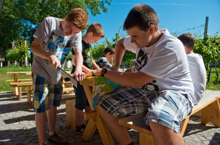 Schulprogramme TRAUBENERLEBNIS