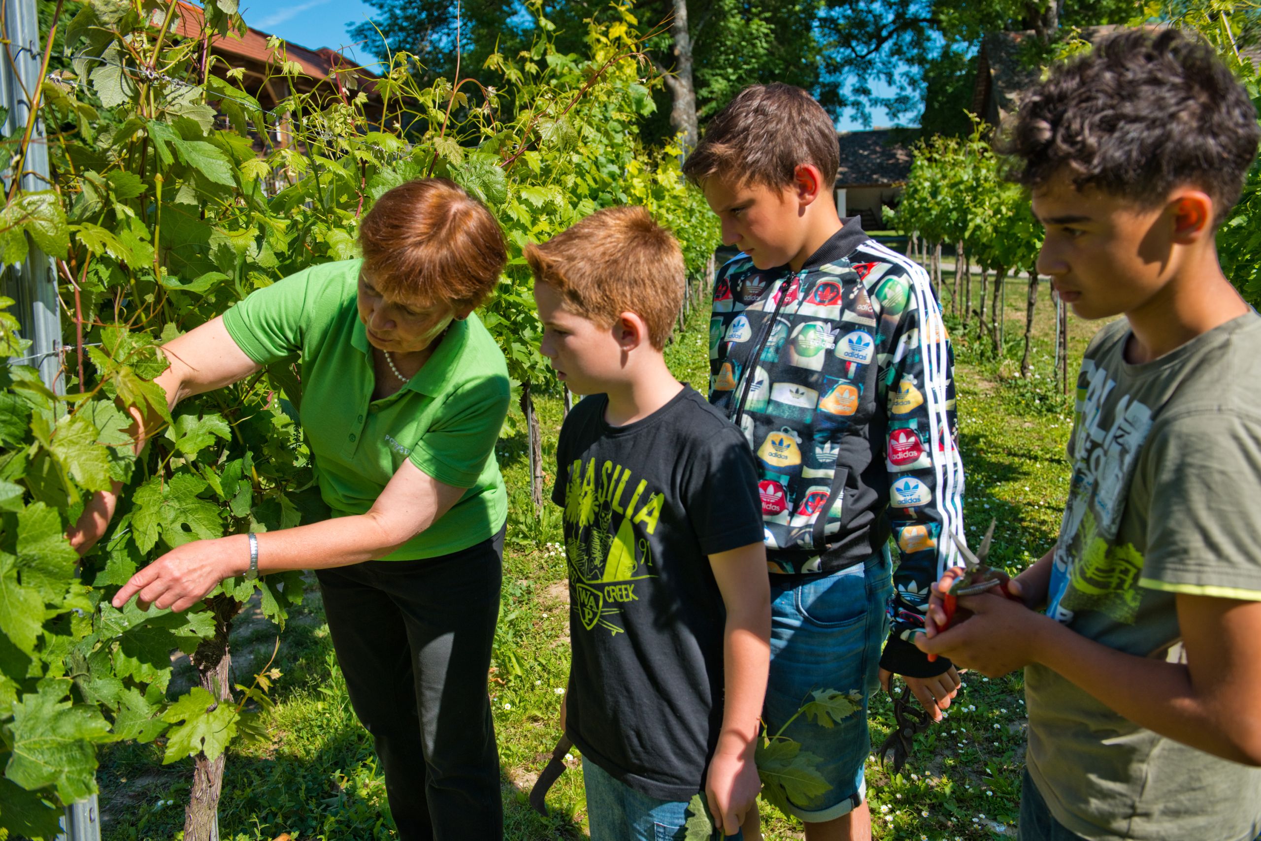 Kinder_Weingarten_Museum WEIN+TRAUBEN Welt_Loizenbauer